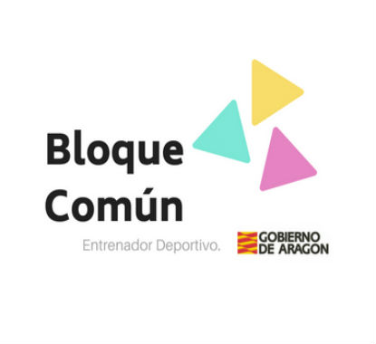 CURSO BLOQUE COMÚN NIVEL I